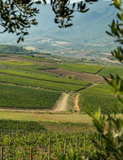 Abruzzo