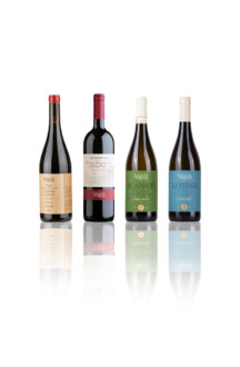 Box Poderi dal Nespoli