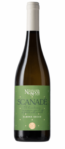 Romagna DOCG Albana Secco
