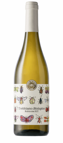 Rubicone IGT Trebbiano Biologico
