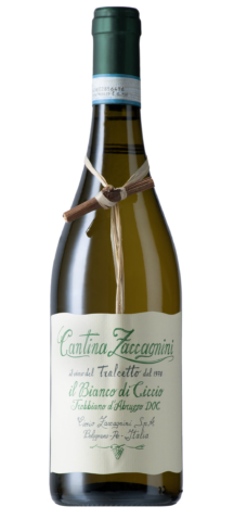 Trebbiano d’Abruzzo DOC – “Il Bianco di Ciccio”