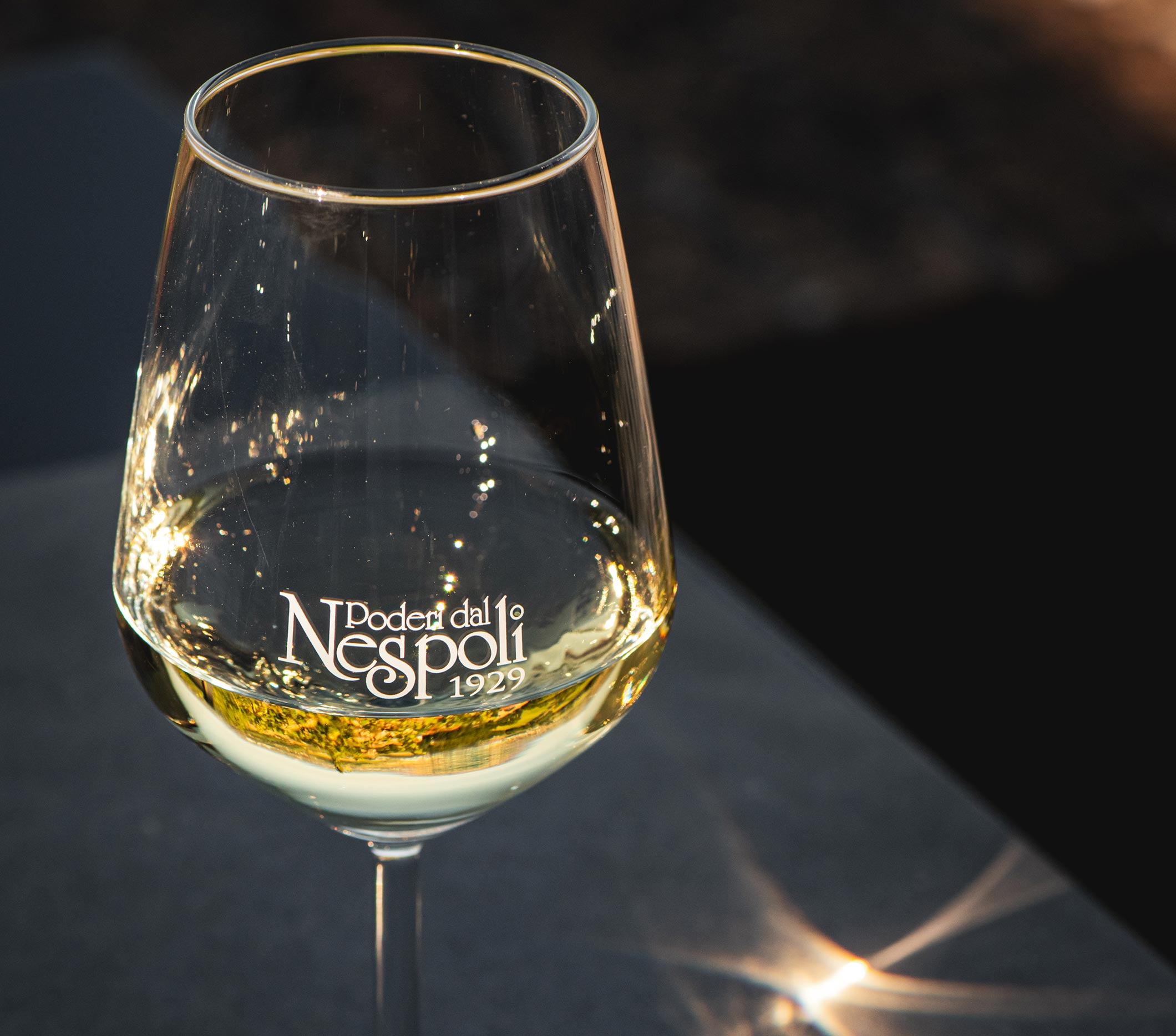 Romagna DOC Trebbiano