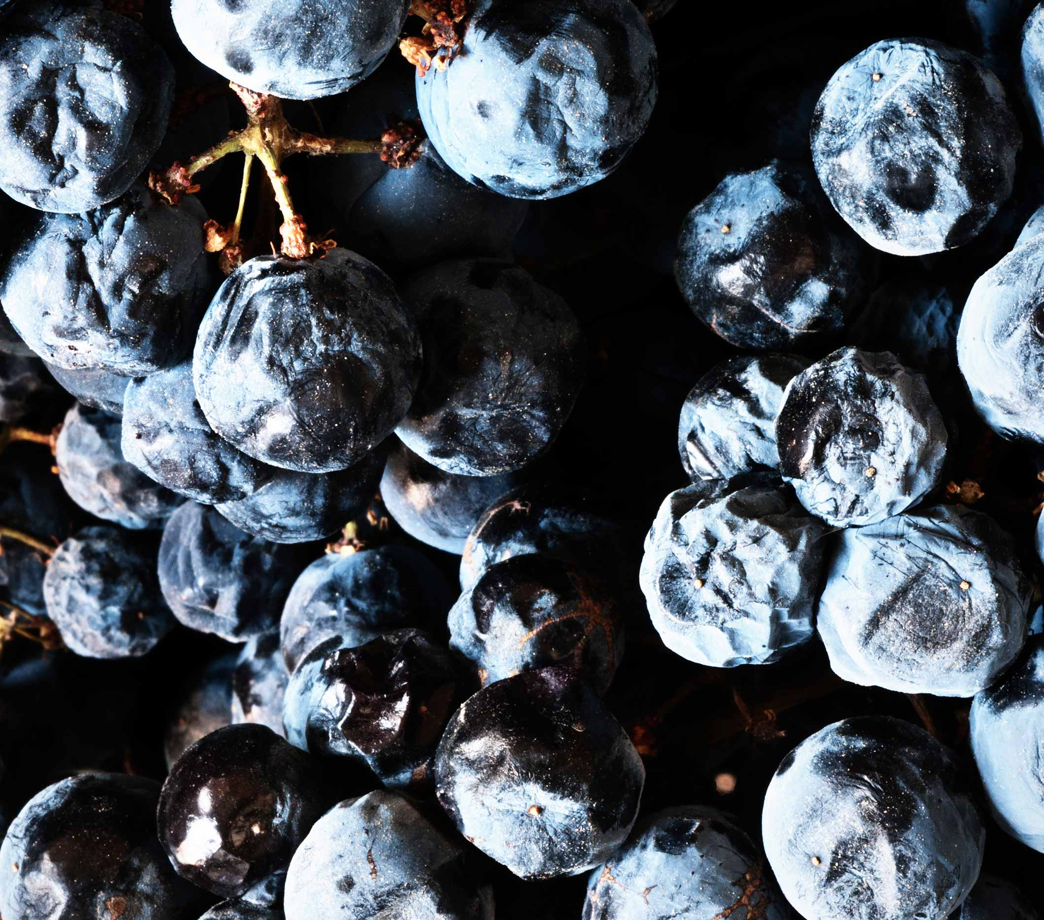 Rosso Terre Siciliane IGT