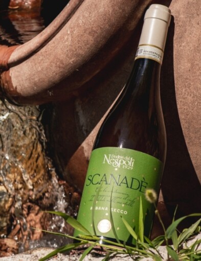Vini per l'estate