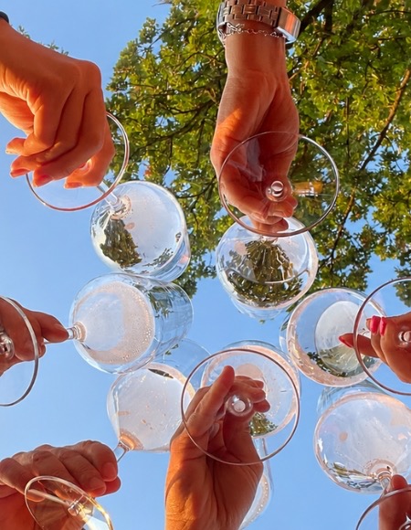 Sfoglia la nostra Antologia del Vino Italiano