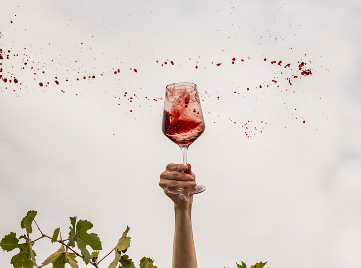 Il vino giusto per ogni occasione